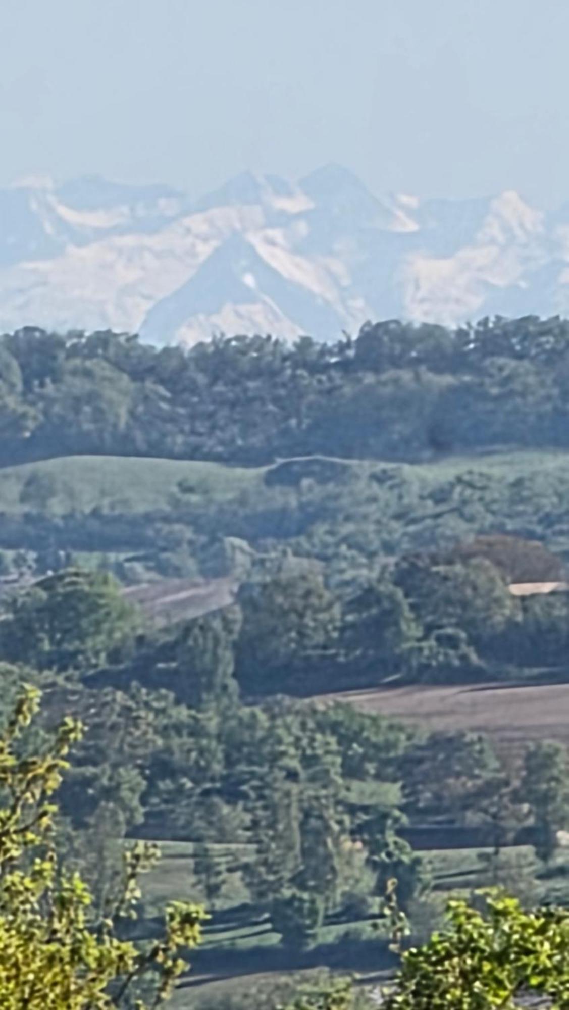 Chateau De Pourpry Damiatte Dış mekan fotoğraf