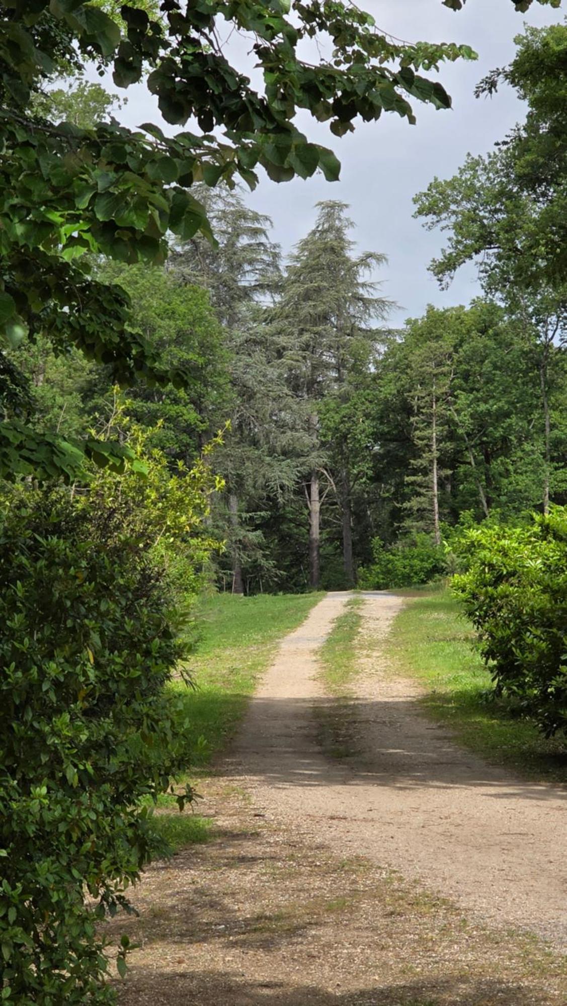 Chateau De Pourpry Damiatte Dış mekan fotoğraf